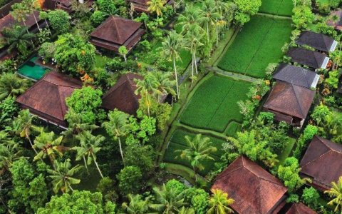 Hotel 4 w Ubud 1.jpg